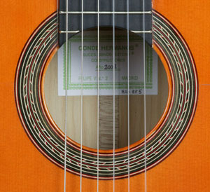 ef5-2.jpg